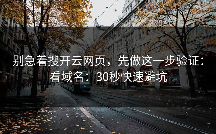 别急着搜开云网页，先做这一步验证：看域名：30秒快速避坑