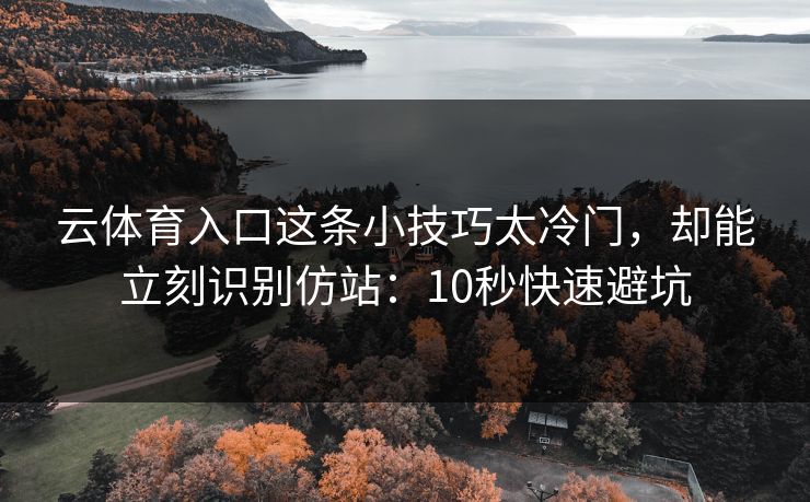 云体育入口这条小技巧太冷门,却能立刻识别仿站:10秒快速避坑 云体育入口这条小技巧太冷门,却能立刻识别仿站:10秒快速避坑